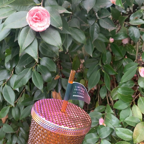 New Starbucks 2021 grande studded copper 16 oz tumbler - Picture 3 of 11